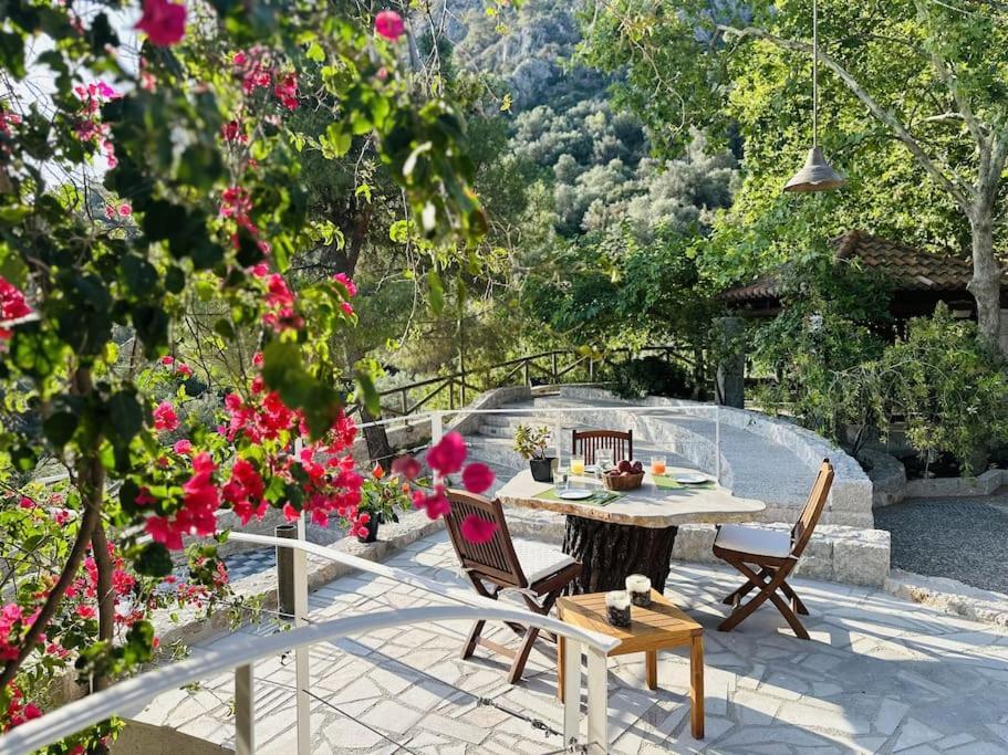 Elia Junior Suite In Epidavros With Shared Pool Nea Epidavros Extérieur photo